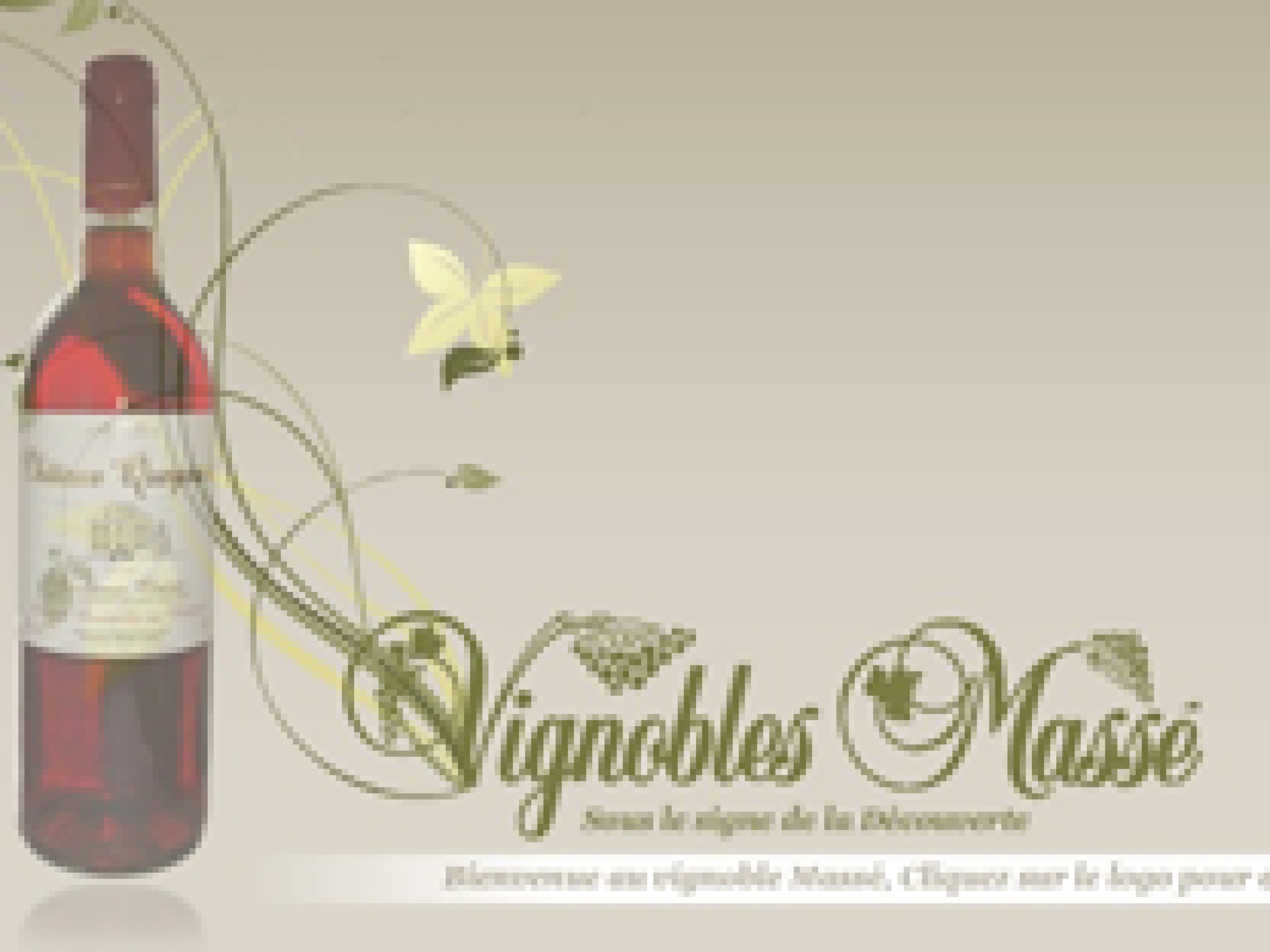 Vignobles Masse